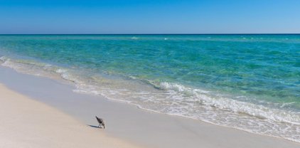 7979 Gulf Blvd Unit #154, Navarre Beach