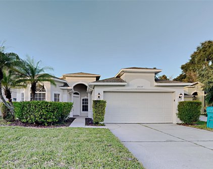 10037 Waltheria Lane, Orlando