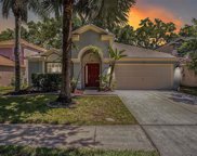 10490 Lucaya Drive, Tampa image