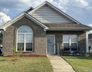 2226 Village Lane, Calera image