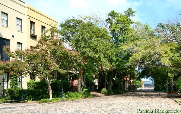 Historic Charleston Cobbleston Streets