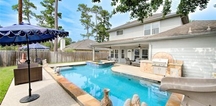20043 Fieldtree Drive, Humble