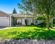 20097 Willow Lane, Edwardsburg image