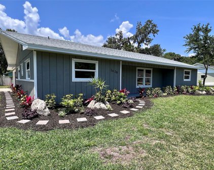 2428 Kumquat Drive, Edgewater