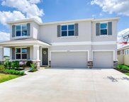 32338 Conchshell Sail Street, Wesley Chapel image