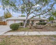 Tampa image