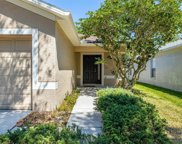 18165 Canal Pointe Street, Tampa image