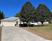 15745 Switch Cane Street, Clermont image