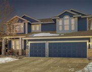 10606 Cottoneaster Way, Parker image