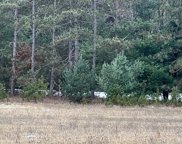 13920 New Millpond Road, Big Rapids image
