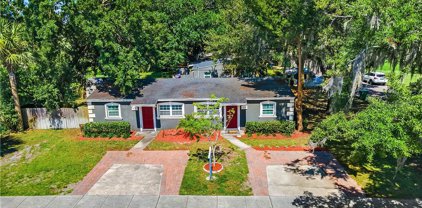 410 S Park Avenue, Winter Garden