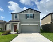 35139 White Water Lily Way, Zephyrhills image