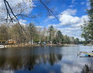 177 Mohican Trail, Glen Spey image