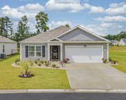 163 Pine Forest Dr., Conway image