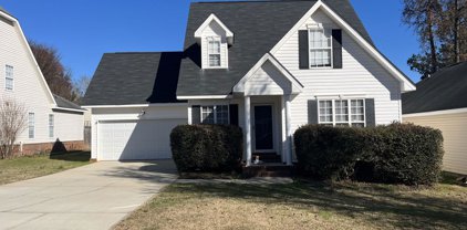 929 SAWBUCK WAY, Evans