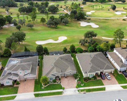 1303 Dusty Pine Drive, Apopka
