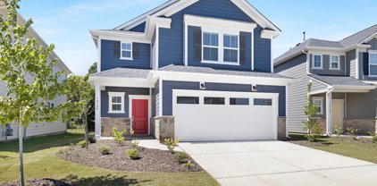 14124 Canemeadow  Drive, Charlotte