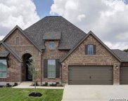24329 Downhill Lie, San Antonio image