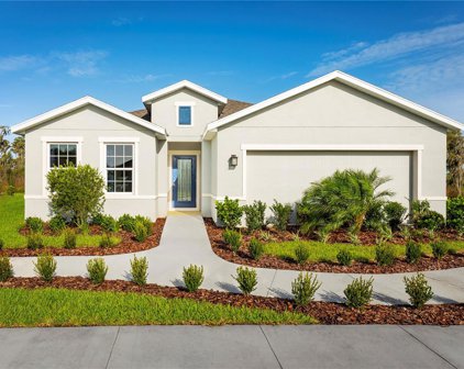 9817 Daybreak Glen, Parrish