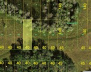 Lot 26 Inaccessible Road, Punta Gorda image
