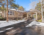 28246 Meadowlark Drive, Golden image