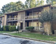 2810 Georgetown Drive Unit 1428, Hoover image
