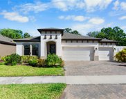 12960 Twin Bridges Drive, Riverview image