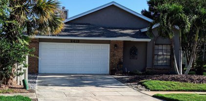 2413 Pewter Court, Orlando