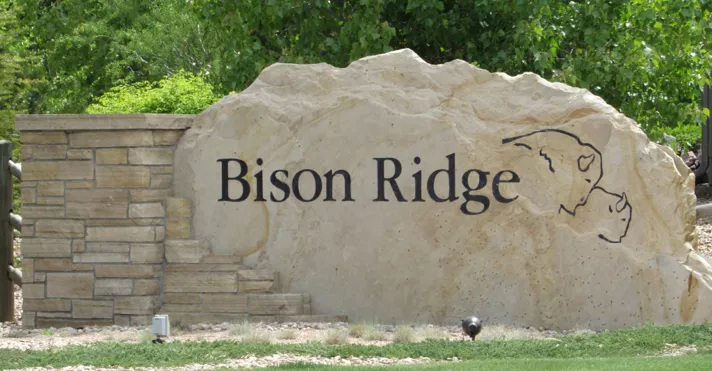 Bison Ridge Homes For Sale Windsor CO