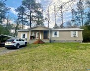286 Willmon Subdivision Rd, Scottsboro image