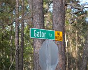 106 Gator  Lane, Beaufort image