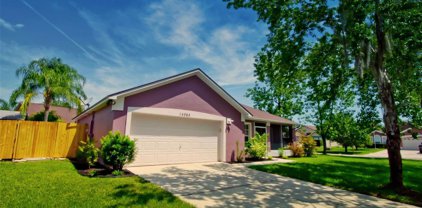 14065 Saint Leo Court, Orlando