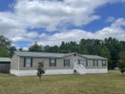 187 Sassafras Court, Walterboro image