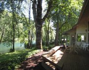 42242 HOLDEN CREEK LN, Springfield image