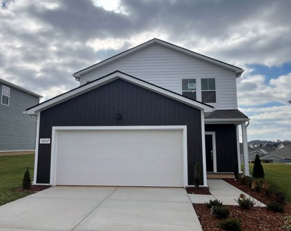 3907 Sadie Street, Columbia