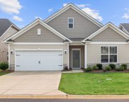 484 White Peach Way, Duncan image