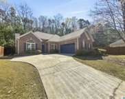 197 Cove Lane, Pelham image