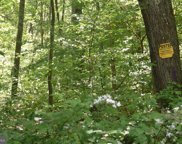 15.62 Acres Cool Hollow Rd, Needmore image