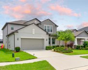 13926 Painted Bunting Lane, Riverview image