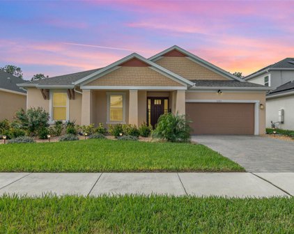 1242 Hillcrest View Loop, Apopka