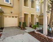 4871 Tuscan Loon Drive, Tampa image