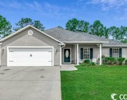398 Carolina Hickory St., Loris image