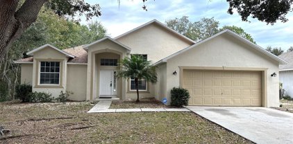 129 Imperial Oak Court, Davenport