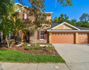 16143 Colchester Palms Drive, Tampa image