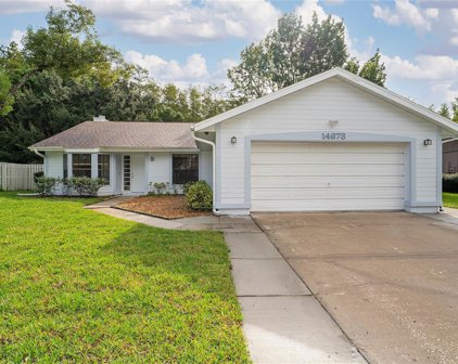 14673 Eagles Crossing Drive, Orlando