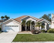 6223 Rock Creek Circle, Ellenton image