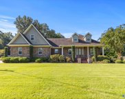 205 Cotton Road, Guntersville image