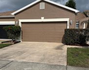 20825 Jaffa Lane, Land O' Lakes image