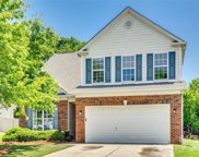 931 Laurel Meadow  Drive, Fort Mill image