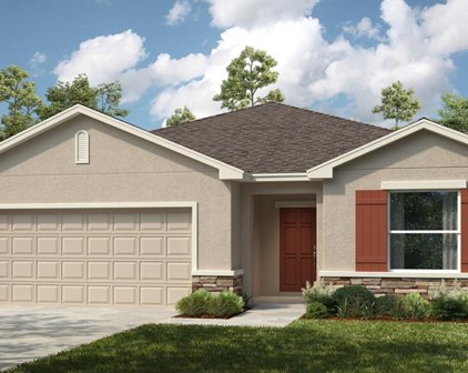 1249 Asher Mason Avenue, Kissimmee